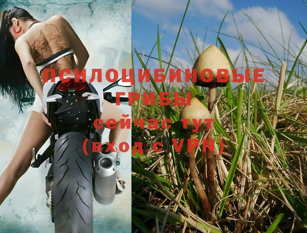 мет Рославль