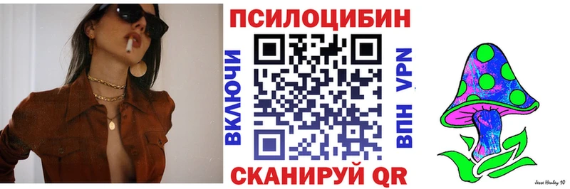 Галлюциногенные грибы мицелий  нарко площадка какой сайт  Оленегорск  купить наркотик 